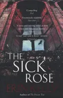 Nemocná růže - Sick Rose