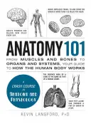 Anatómia 101: Az izmoktól és csontoktól a szervekig és rendszerekig, az emberi test működésének útmutatója - Anatomy 101: From Muscles and Bones to Organs and Systems, Your Guide to How the Human Body Works