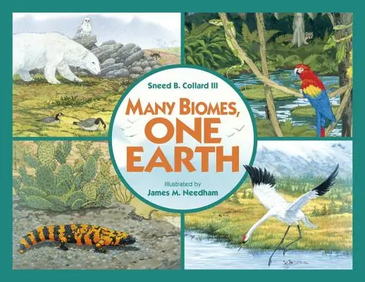 Sok biom, egy Föld kereskedelmi könyv - Many Biomes, One Earth Trade Book