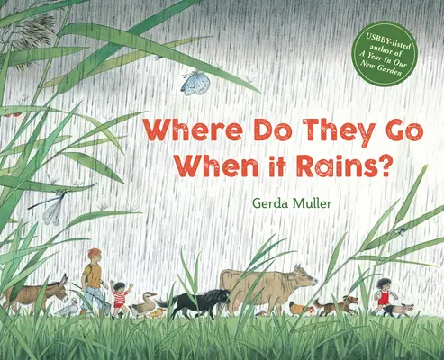 Hová mennek, ha esik az eső? - Where Do They Go When It Rains?