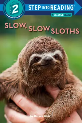 Lassú, lassú lajhárok - Slow, Slow Sloths