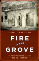 Tűz a ligetben: A kókuszdióliget tragédiája és utóélete - Fire in the Grove: The Cocoanut Grove Tragedy and Its Aftermath