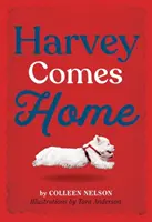 Harvey hazajön - Harvey Comes Home