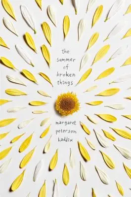 Az összetört dolgok nyara - The Summer of Broken Things