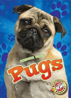 Mopszok - Pugs