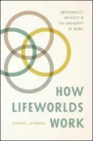 Hogyan működnek az életvilágok: A létezés kétértelműsége: Érzelmek, szocialitás és a létezés kétértelműsége - How Lifeworlds Work: Emotionality, Sociality, and the Ambiguity of Being