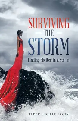 Túlélni a vihart: Menedéket találni a viharban - Surviving the Storm: Finding Shelter in a Storm