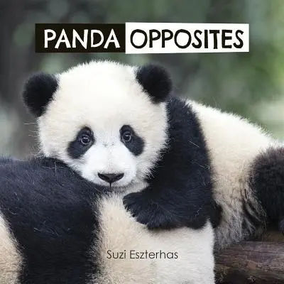 Panda ellentétek - Panda Opposites