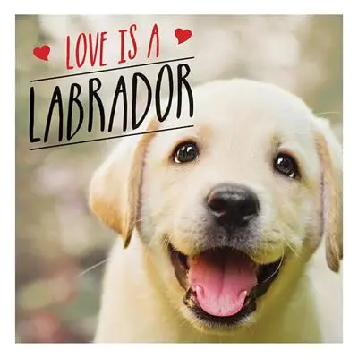 A szerelem egy labrador - A világ kedvenc kutyájának labrador-tasztikus ünneplése - Love is a Labrador - A Lab-Tastic Celebration of the World's Favourite Dog