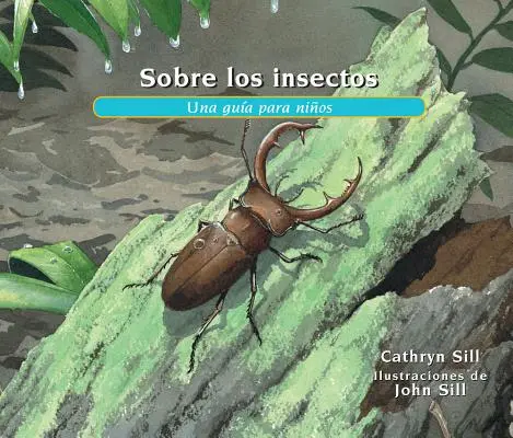 Sobre Los Insectos: Una Gua Para Nios = A rovarokról - Sobre Los Insectos: Una Gua Para Nios = About Insects