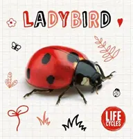 Katicabogár - Ladybird