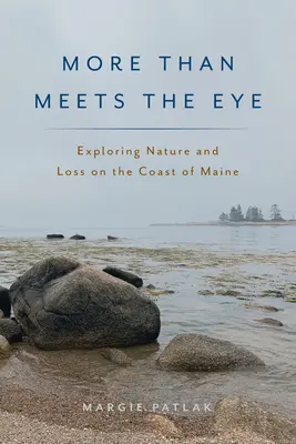 Több, mint ami a szemnek látszik: A természet és a veszteség felfedezése Maine partjainál - More Than Meets the Eye: Exploring Nature and Loss on the Coast of Maine