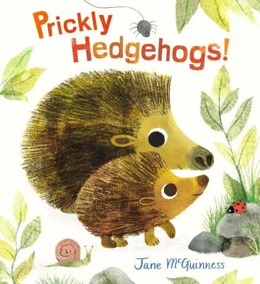 Tüskés sünök! - Prickly Hedgehogs!