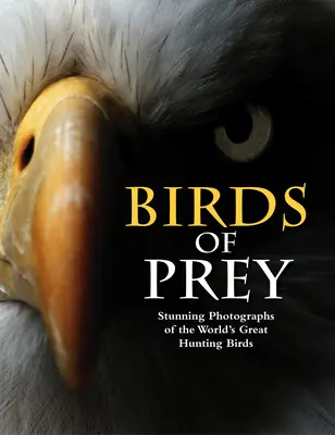 Birds of Prey: Lenyűgöző fotók a világ nagy vadászmadarairól - Birds of Prey: Stunning Photographs of the World's Great Hunting Birds