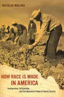 How Race Is Made in America, 38: Immigration, Citizenship, and the Historical Power of Racial Scripts (Hogyan születik a faj Amerikában, 38): Bevándorlás, állampolgárság és a faji szkriptek történelmi ereje - How Race Is Made in America, 38: Immigration, Citizenship, and the Historical Power of Racial Scripts