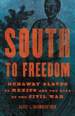 Délről a szabadságba: Szökött rabszolgák Mexikóba és az út a polgárháborúig - South to Freedom: Runaway Slaves to Mexico and the Road to the Civil War