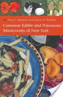 New York gyakori ehető és mérgező gombái - Common Edible and Poisonous Mushrooms of New York