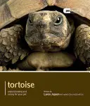 Teknősbéka - Tortoise