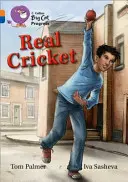 Igazi krikett - Real Cricket