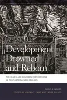 Fejlődés Megfulladva és újjászületve: A blues és a Bourbon helyreállítása a Katrina utáni New Orleansban - Development Drowned and Reborn: The Blues and Bourbon Restorations in Post-Katrina New Orleans