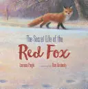 A vörös róka titkos élete - The Secret Life of the Red Fox