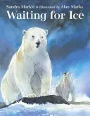 Jégre várva - Waiting for Ice