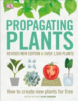 Növények szaporítása: Hogyan hozzunk létre új növényeket ingyen - Propagating Plants: How to Create New Plants for Free