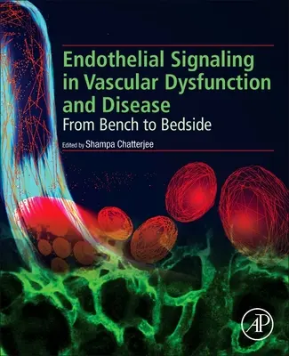 Endothelial Signaling in Vascular Dysfunction and Disease: Az asztaltól a betegágyig - Endothelial Signaling in Vascular Dysfunction and Disease: From Bench to Bedside