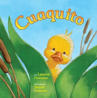 Cuaquito (Kis Quack) - Cuaquito (Little Quack)