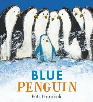 Kék pingvin - Blue Penguin