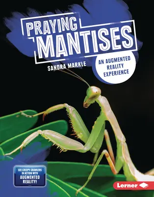 Imádkozó sáskák: A kiterjesztett valóság élménye - Praying Mantises: An Augmented Reality Experience