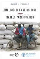 Kistermelői mezőgazdaság és piaci részvétel - tanulságok Afrikából - Smallholder Agriculture and Market Participation - Lessons from Africa