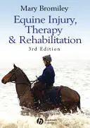 Lovas sérülések, terápia és rehabilitáció - Equine Injury, Therapy and Rehabilitation