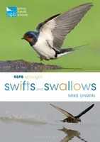 RSPB Spotlight Fecskék és fecskék - RSPB Spotlight Swifts and Swallows