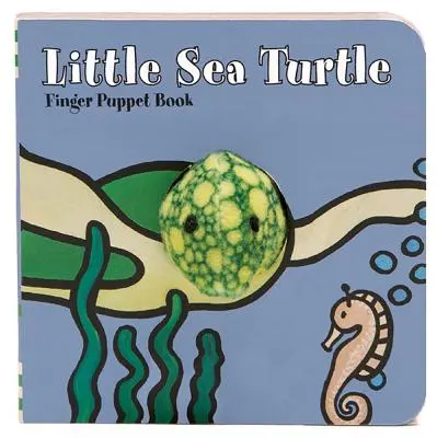 Kis tengeri teknős - Little Sea Turtle