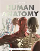 Illusztrált emberi anatómia: Az emberi test hiteles vizuális útmutatója - Illustrated Human Anatomy: The Authoritative Visual Guide to the Human Body