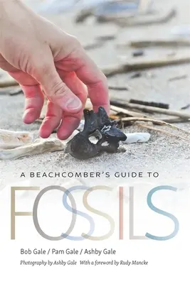 A Beachcomber's Guide to Fossils (A strandoló útikönyve a kövületekhez) - A Beachcomber's Guide to Fossils