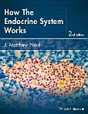 Hogyan működik az endokrin rendszer - How the Endocrine System Works