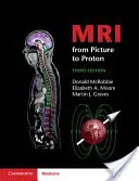 MRI a képtől a protonig - MRI from Picture to Proton