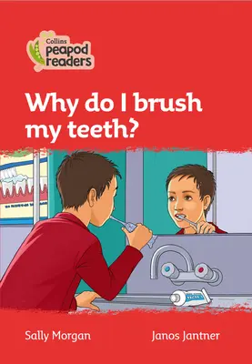 5. szint - Miért mosok fogat? - Level 5 - Why do I brush my teeth?