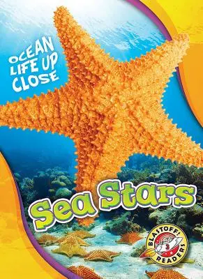 Tengeri csillagok - Sea Stars