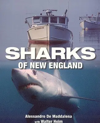 New England cápái - Sharks of New England