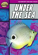 Rapid Reading: A tenger alatt (3. szakasz, 3A szint) - Rapid Reading: Under the Sea (Stage 3, Level 3A)