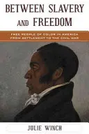 Rabszolgaság és szabadság között: Színes bőrű szabad emberek Amerikában a letelepedéstől a polgárháborúig - Between Slavery and Freedom: Free People of Color in America From Settlement to the Civil War