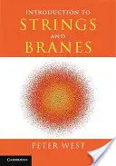 Bevezetés a vonósok és ágak világába - Introduction to Strings and Branes