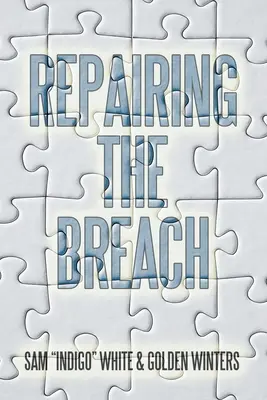 A szakadás kijavítása - Repairing the Breach