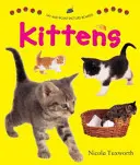 Mondd és mutasd a képeket: Cicák - Say and Point Picture Boards: Kittens