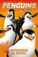 Madagaszkár pingvinjei - Pingvinek veszélyben - Penguins of Madagascar - Penguins in Peril