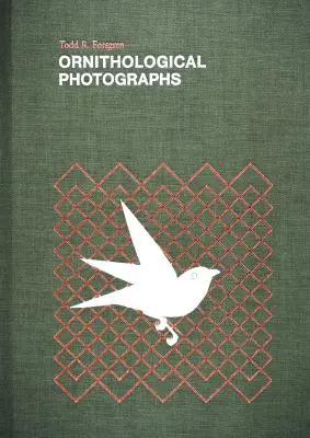 Ornitológiai fényképek - Ornithological Photographs