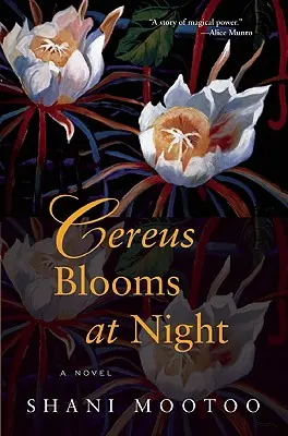 Cereus virágzik éjjel - Cereus Blooms at Night